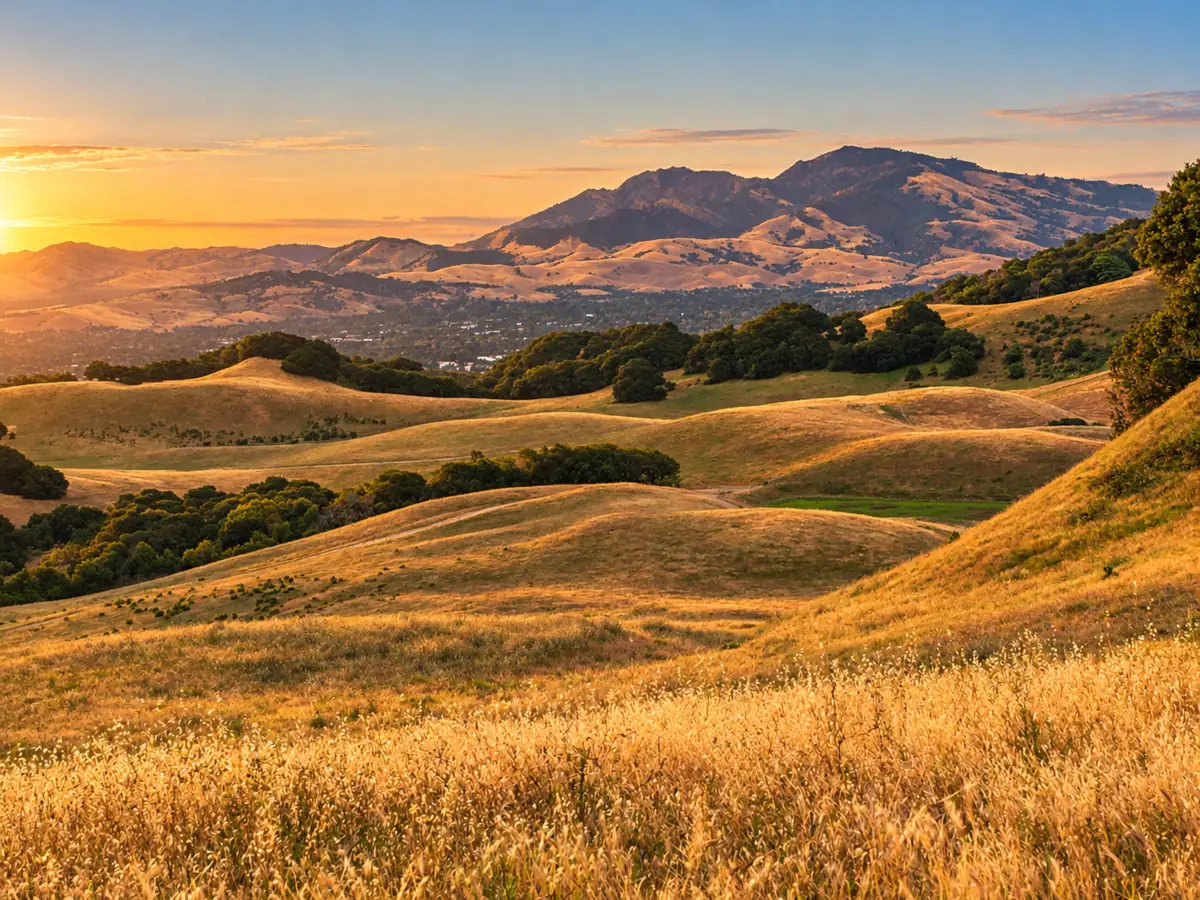 Property Management in Pleasant Hill, CA